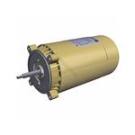 .5 Hp Maxrate Motor Black