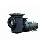 7.5HP 230V Eq Series Pump W/ Strainer