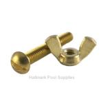 #155 BRASS Bolt & Wing Nut