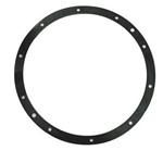 10-HOLE VINYL LIGHT Niche Gasket