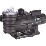 .33HP 115/230V Dyna-Wave Pump