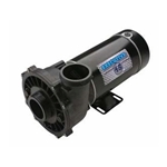 1.5HP 230V 2SP 48FR 2"Sx2"D Executive Spa Pump