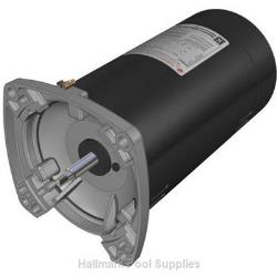 1HP 2SP 230V MAXFLO Thrd Shaft Motor