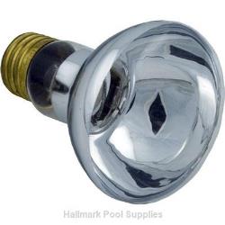 100W 12V Medium Base Incandescent Bulb