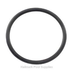 1/8"X1-7/8" Standup Oring