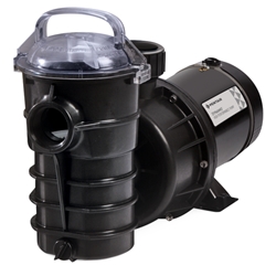 1.5HP 115V 3' CD Dynamo Pump