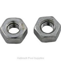 .25-20 SS Hex Head Nut