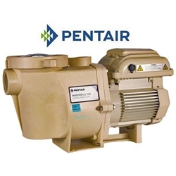 Whisperflo Vsp Pool Pump