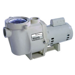 1HP 230V 2SP EE Whisperflo Pump