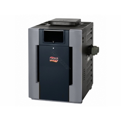 P-D406A-EN-C #50 399K Ng Iid 0-2K Digital Heater