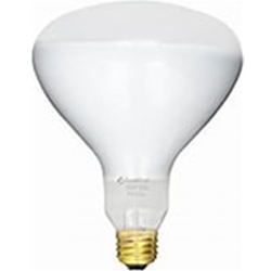 300W 120V R40 Medium Base Flood Bulb